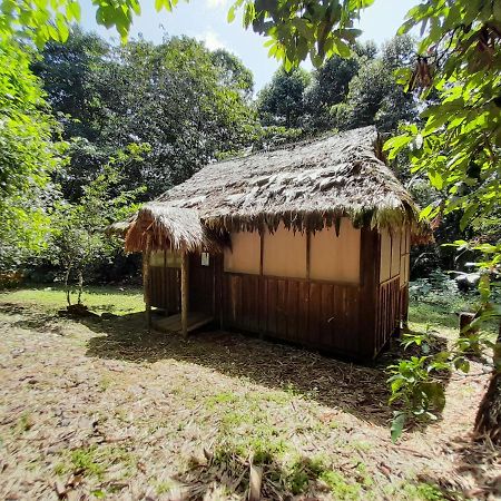 Naineku Lodge Puerto Nariño Esterno foto